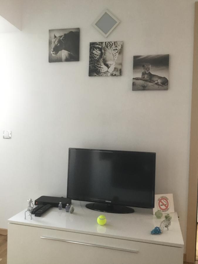White Dream Suites Iasi Exteriér fotografie